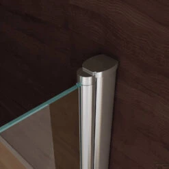 BWS Nisdeur Met Pendeldeuren 90x200 Cm 6mm NANO Coating -Winkel Voor Badkamerdouchebenodigdheden bws nisdeur met pendeldeuren nano coating 3 3