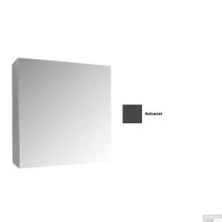 Spiegelkast Sanicare Qlassics 60 Cm 1 Deur Antraciet -Winkel Voor Badkamerdouchebenodigdheden spiegelkast sanicare qlassics 60 cm 1 deur antraciet detail